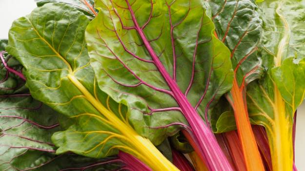 RMF Extra: Lepsza niż szpinak i jarmuż. To zapomniane warzywo dostarcza 477% kluczowej witaminy  
