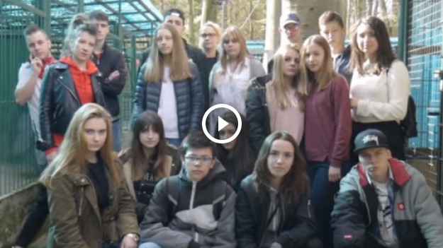 RMF Extra:  Chcą pomóc starszym pieskom ze schroniska. Nagrali wzruszającą piosenkę!