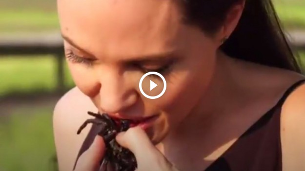 RMF Extra: Angelina Jolie zdradza sekret swojej diety... Jest fanką pająków i robaków!