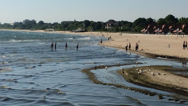 RMF Extra: Wakacje nad Bałtykiem: Uwaga na sinice!