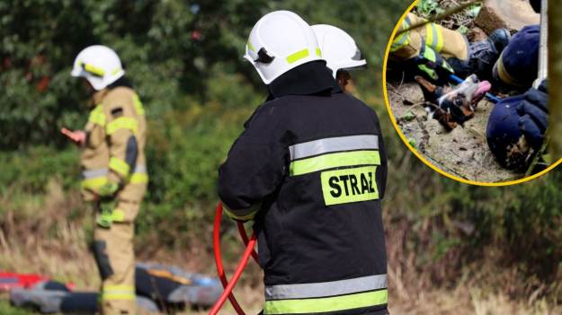RMF Extra: Dramatyczna akcja ratunkowa strażaków. Pies utknął w kanale, wystawała mu tylko głowa! 