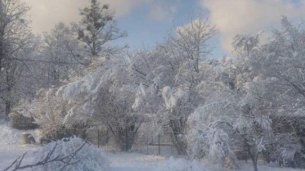 RMF Extra: Olbratowski i Skowron: prognoza pogody na dzisiaj