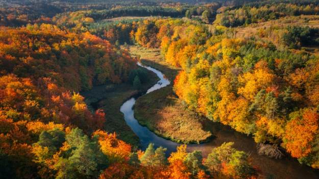 RMF Extra: Dziś początek astronomicznej jesieni. Czym różni się od kalendarzowej?  