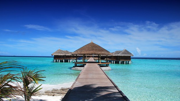 RMF Extra: Praca idealna istnieje! Sieć księgarni szuka księgarza i blogera do pracy w hotelu na Malediwach