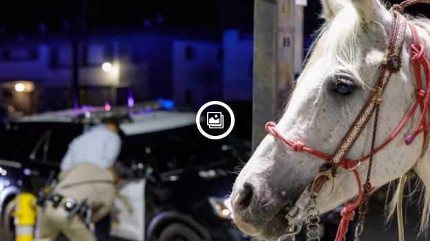 RMF Extra: Wracał konno do domu przez autostradę. Był pijany!