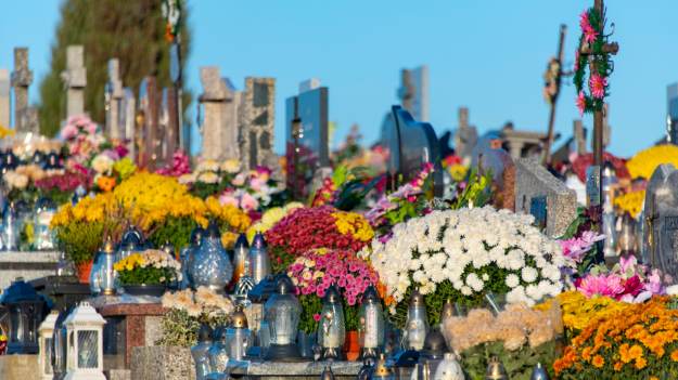 RMF Extra: Uważaj na cmentarzu! Za te błędy grozi nawet 5 tysięcy złotych mandatu 