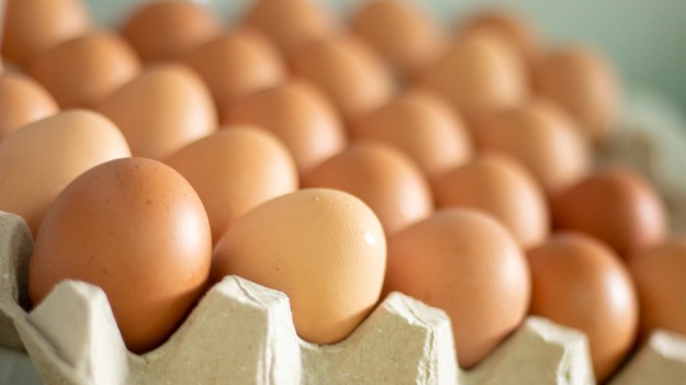 RMF Extra: GIS wycofuje z obrotu partie jaj. Powodem salmonella! 