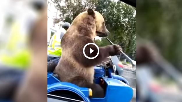 RMF Extra: Taki tam, zwyczajny dzień w rosyjskich korkach…