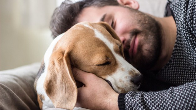 RMF Extra: Właściciele psów są zdrowsi! Udowodnili to naukowcy!