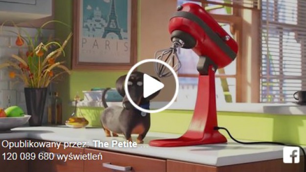 RMF Extra: Lubicie masaże? Ten piesek też! 