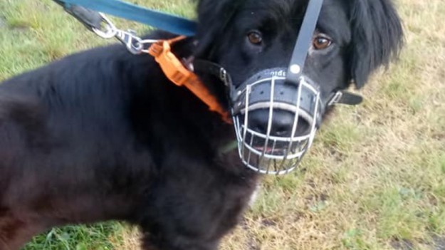 RMF Extra: Przeżyła piekło. Bili ją wszystkim, co mieli pod ręką