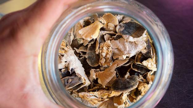 RMF Extra: Mało kto o tym wie! Włożenie tego do słoika z suszonymi grzybami to najlepszy trik