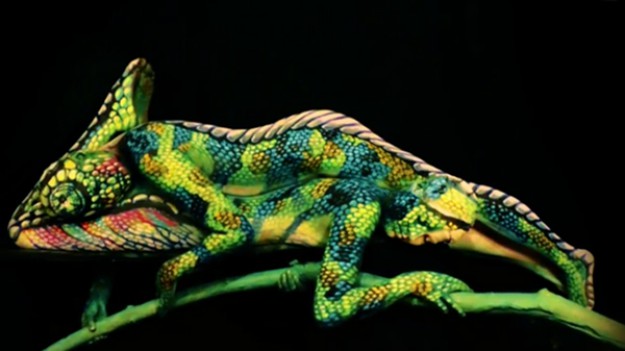 RMF Extra: Niezwykła sztuka inspirowana naturą! Ile osób widzisz na zdjęciu? 