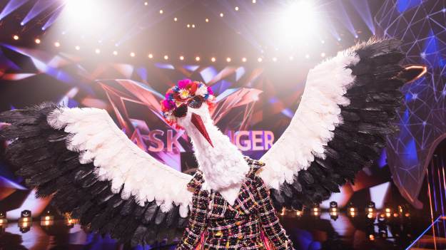 RMF Extra: "Mask Singer". Bocian. Kim jest? Widzowie wpadli na ciekawy trop