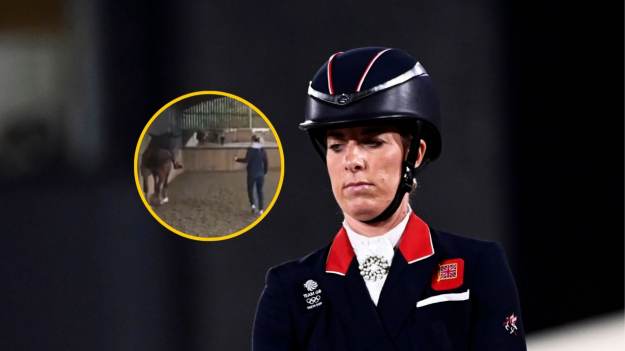 RMF Extra: Olimpijka biła konia jak "słonia w cyrku". Szokujące nagranie ujrzało światło dzienne!