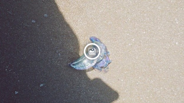 RMF Extra: Uważaj na to stworzenie. Jest śmiertelnie niebezpiecznie!