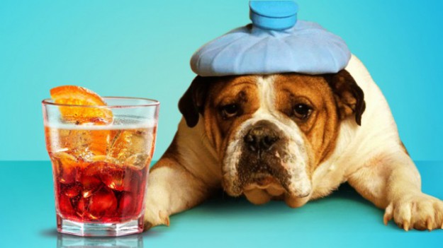 RMF Extra: Wynaleziono alkohol, który nie powoduje kaca