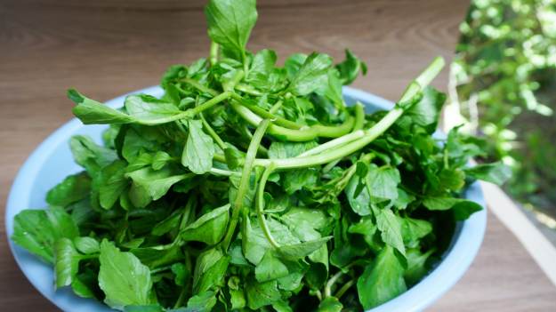 RMF Extra: Naukowcy wybrali najzdrowsze warzywo świata! Polacy mało kiedy je kupują