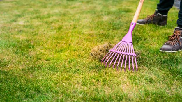 Zamiast wyrzucać, rozsyp go na trawniku. W ten..