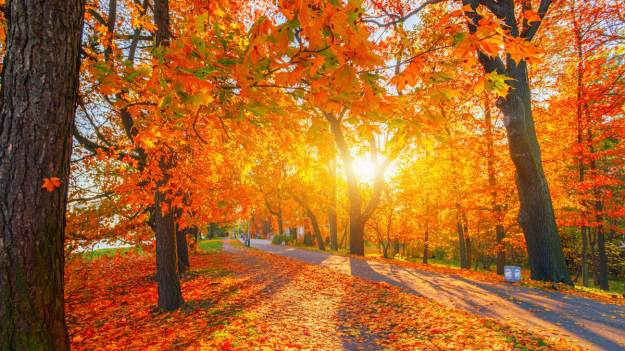 RMF Extra: Pogoda zwariowała? Na termometrach znów będzie ponad 20 stopni Celsjusza!