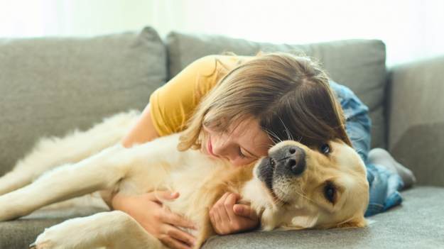 RMF Extra: Twój pies to geniusz czy typowy kanapowiec? Naukowcy wiedzą, jak to sprawdzić