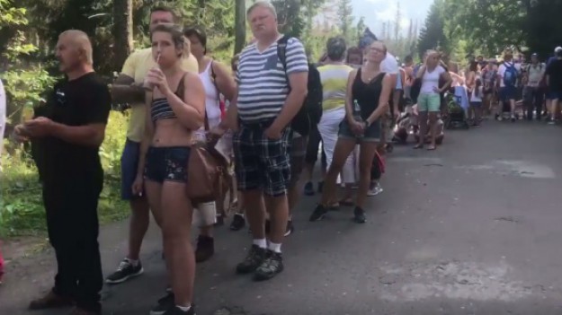 RMF Extra: Dramat koni nad Morskim Okiem trwa. Pomimo upałów muszą przewozić tłumy turystów