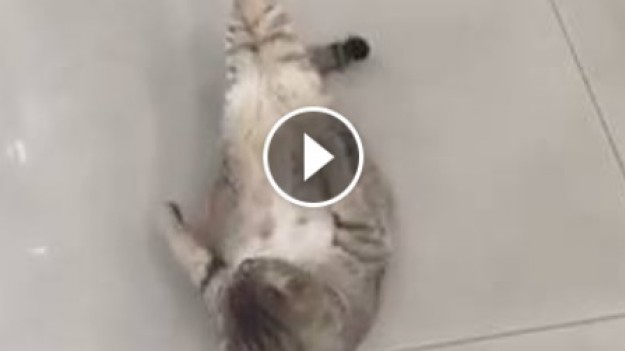 RMF Extra: Czas na ćwiczenia! 