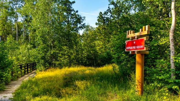 RMF Extra: Pamiętacie maleńkiego łosia, który skradł serca tysięcy internautów? Dziś ma już rok. Zwierzak nadal zachwyca! [FOTO]
