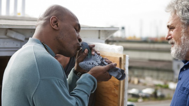 RMF Extra: Mike Tyson świętuje dziś 50. urodziny!