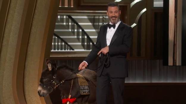 RMF Extra: Żywy osioł na gali rozdania Oscarów. Kontrowersyjny występ podzielił internautów [WIDEO]