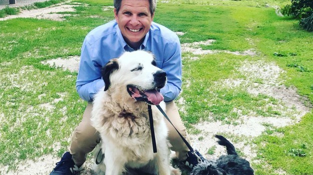 RMF Extra: Filip Chajzer chwalił się, że adoptuje psy. Zwierzęta zostały jednak w schronisku