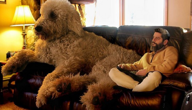 RMF Extra: Niekończąca się opowieść! 