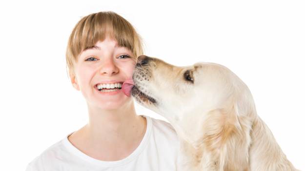 RMF Extra: Dlatego pies liże człowieka po twarzy. Ekspertka mówi wprost, co oznacza takie zachowanie