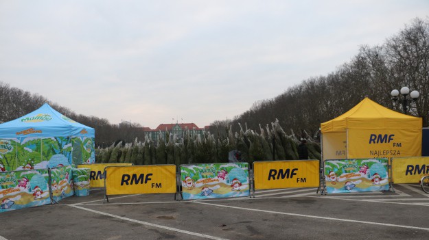 RMF Extra: Choinki pod choinkę: Rafał Brzozowski wspólnie z nami rozdaje świąteczne drzewka w Szczecinie!