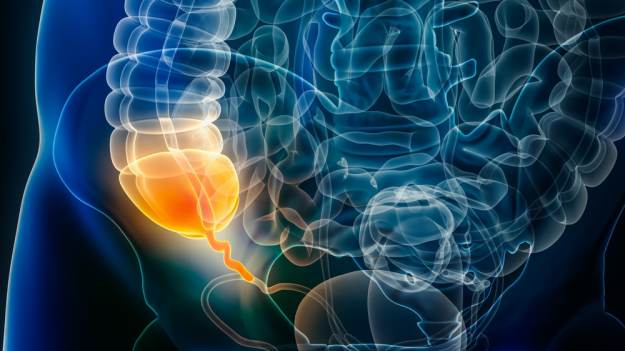 Wyrostek robaczkowy to pomyłka? Wyjaśniamy..