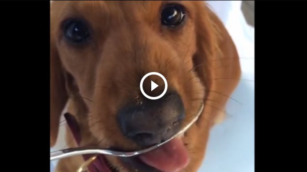 RMF Extra: Największy fan masła orzechowego!