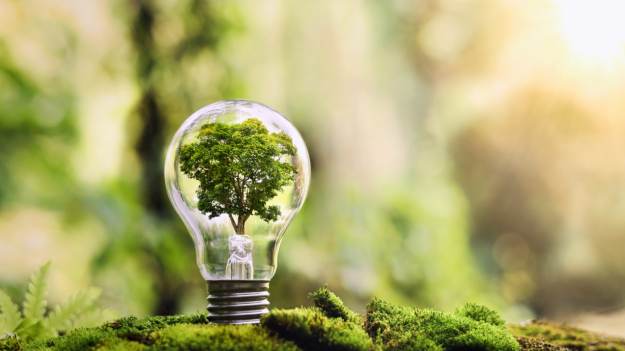 RMF Extra: Twój wpływ na klimat i środowisko – wykorzystaj kalkulator emisji CO2 i dowiedz się, ile emitujesz każdego roku!