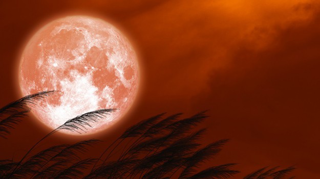 Czerwona pełnia Księżyca/Pełnia Księżyca Jesiotrów