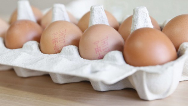 RMF Extra: Skażone jajka w Polsce. Mogą być niebezpieczne dla zdrowia!