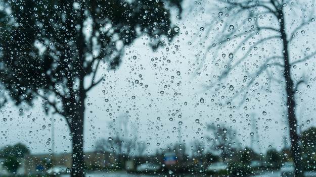 RMF Extra: Wysiadł z samochodu. Na środku ulicy gołymi rękami złapał wielką rybę [WIDEO]