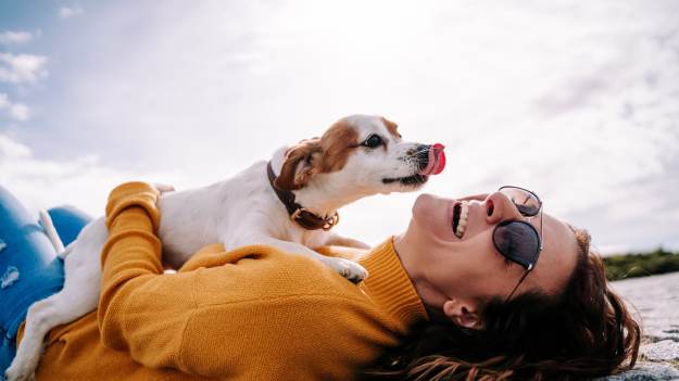 RMF Extra: Wybrano "najbrzydszego" psa na świecie!