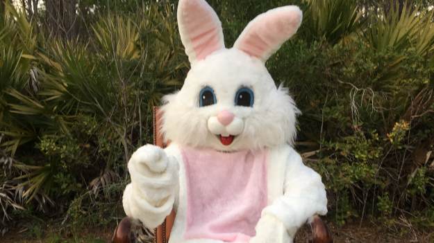 RMF Extra: Dlaczego zając wielkanocny nas bawi? Felieton Małgorzaty Durmaj