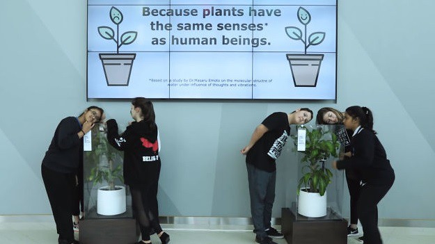 RMF Extra: Co się stanie z kwiatkiem, gdy będziesz go krytykował i zastraszał przez 30 dni? [WIDEO]