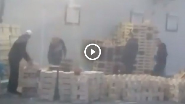 RMF Extra: Polskie truskawki... z Hiszpanii?! Co kupujemy naprawdę? [WIDEO]