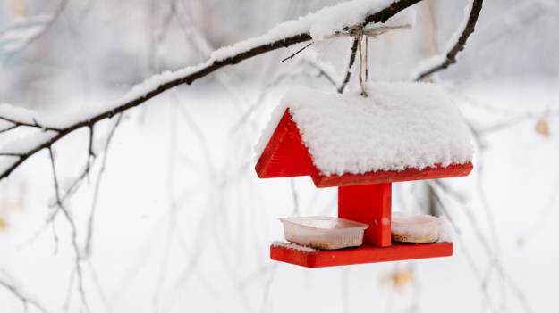 RMF Extra: W Polsce trwa białe szaleństwo! A czy wiecie, jak powstają opady śniegu?