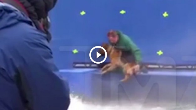 RMF Extra: Szokujące nagranie. Pies siłą wepchnięty do wody na planie filmu