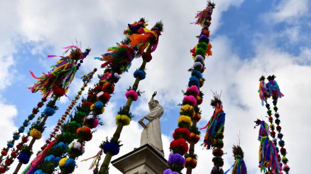 Rekordowa palma wielkanocna ma ponad 37 metrów...