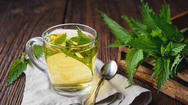 RMF Extra: Picie pokrzywy - kto powinien unikać tego naparu?