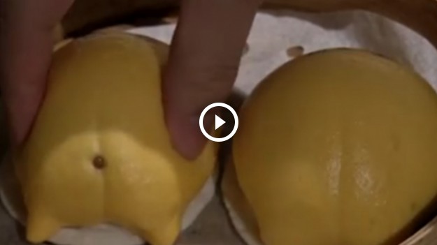 RMF Extra: Obrzydliwa restauracja przyciąga tłumy! 