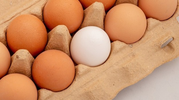 RMF Extra: Odkryto antybiotyk w jajach klasy A: GIS ostrzega 